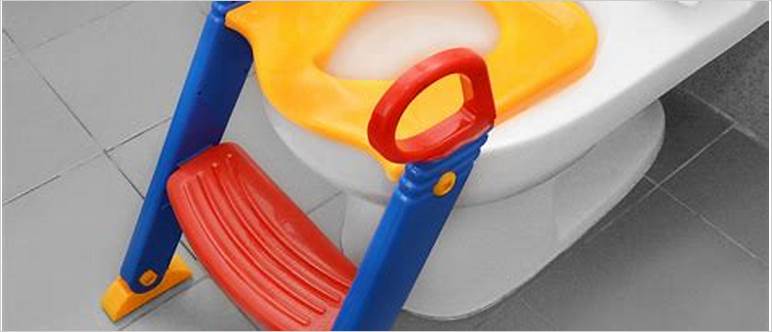 Potty seat and step